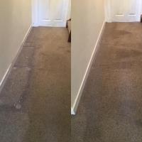 Trees Carpet Cleaning image 6